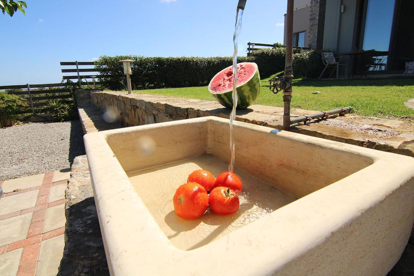 Arion Krini Villa Amnátos Esterno foto