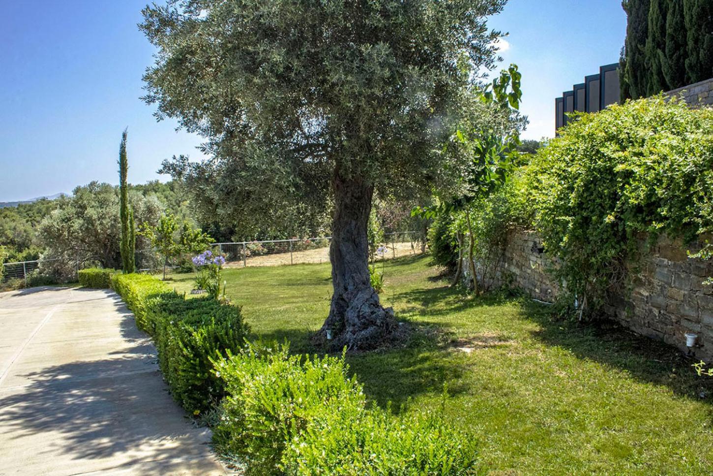 Arion Krini Villa Amnátos Esterno foto