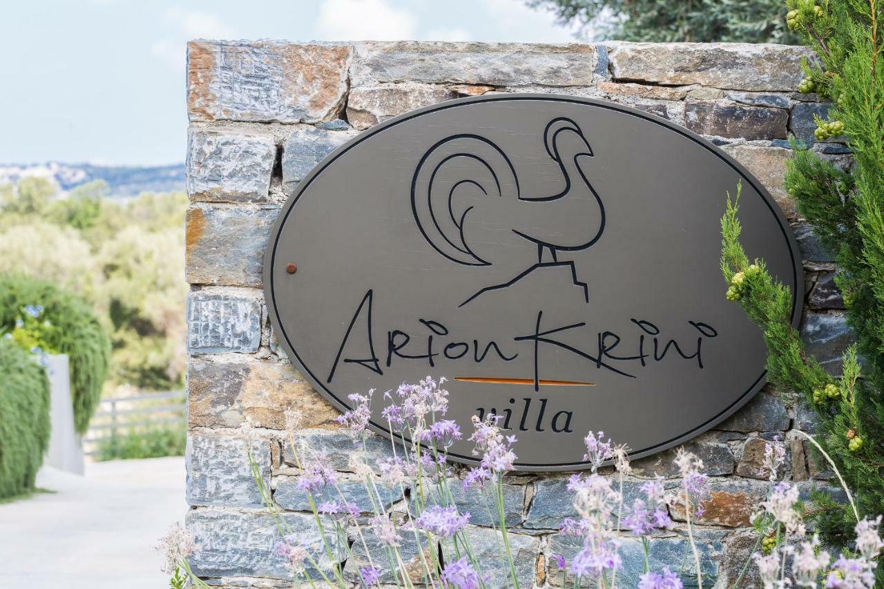 Arion Krini Villa Amnátos Esterno foto