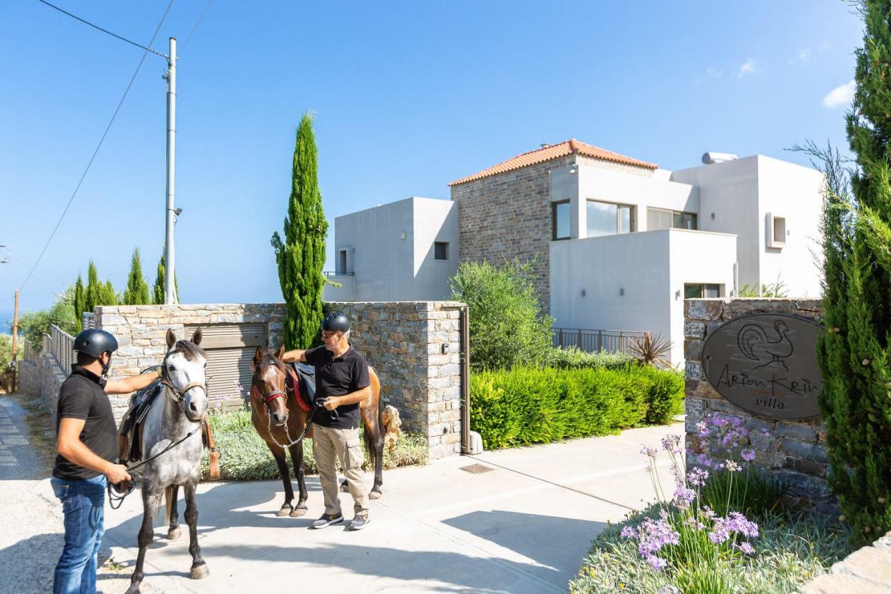 Arion Krini Villa Amnátos Esterno foto
